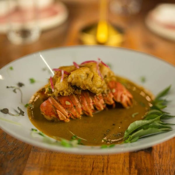 Lobster tails in a golden sauce, topped with fried fritters and pickled red onions on a white plate.
