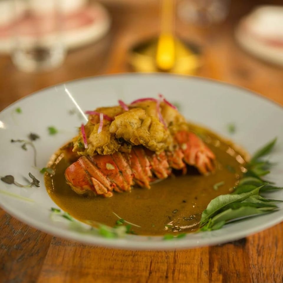 Plated lobster tails in a golden curry sauce, topped with fried fritters, red onions, and herbs.
